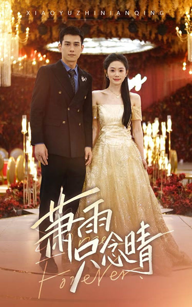 萧雨只念晴海报