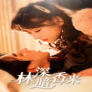 林深暗香来海报
