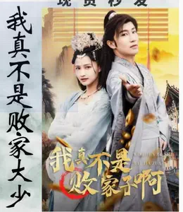 我真不是败家大少海报