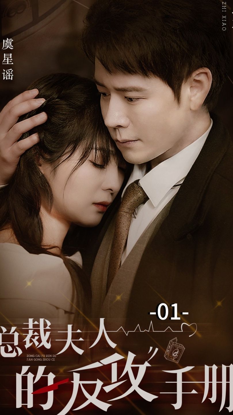 总裁夫人的反攻手册海报