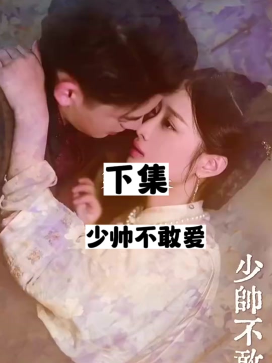 少帅不敢爱海报