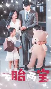 一胎两宝爹地妈咪又怀了海报