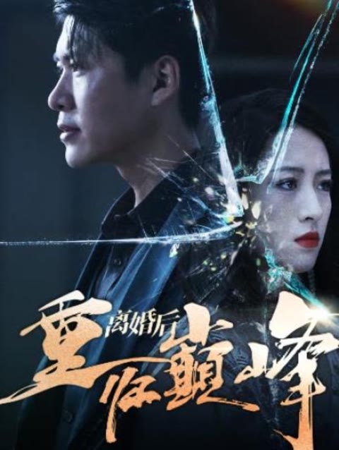 离婚后重回人生巅峰海报