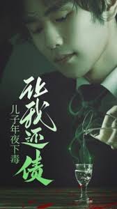 儿子年夜下毒让我还债海报