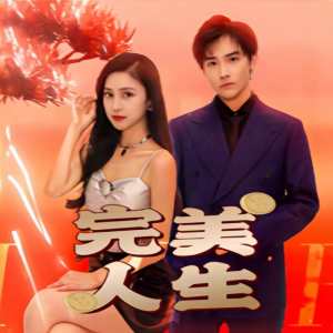完美人生海报