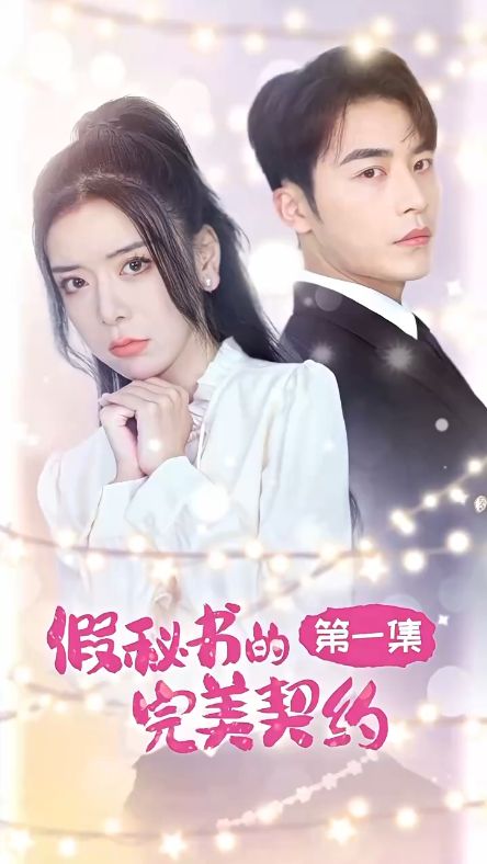 假秘书的完美契约海报