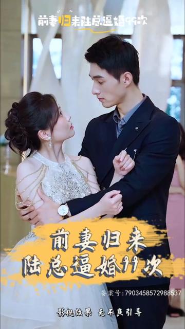 前妻归来陆总逼婚99次海报