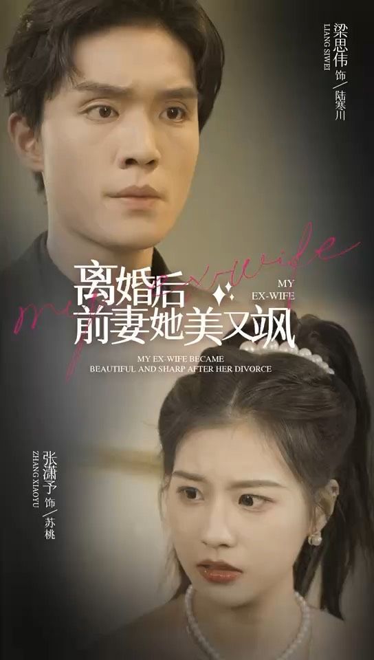 离婚后前妻她美又飒海报