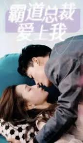 霸道总裁爱上我海报
