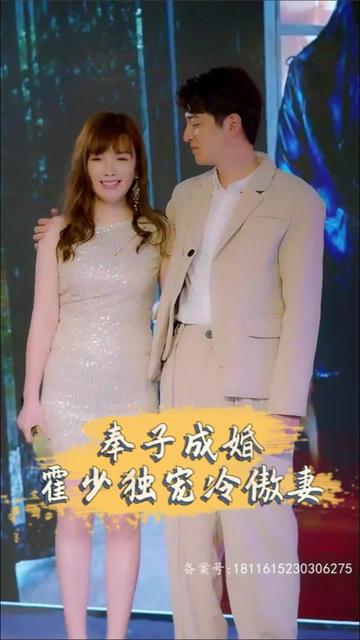 奉子成婚，霍少独宠冷傲妻海报