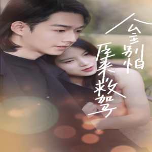 公主别怕，臣来救驾海报