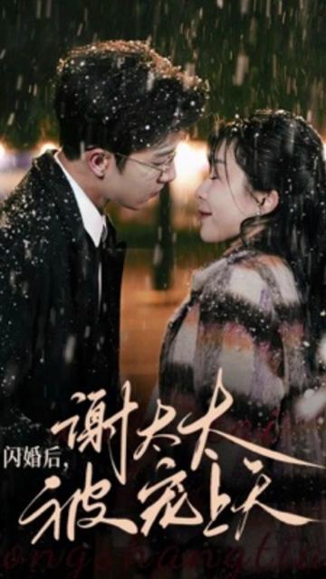 闪婚后，谢太太被宠上天海报