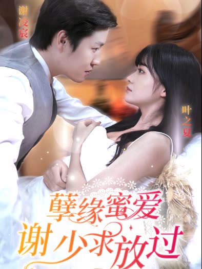 孽缘蜜爱谢少求放过海报