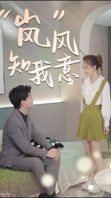 “岚”风知我意海报