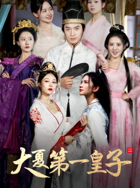大夏第一皇子海报
