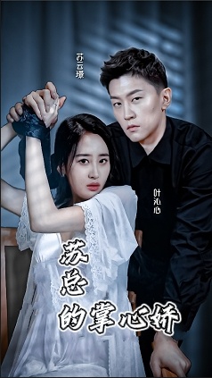 苏总的掌心骄海报