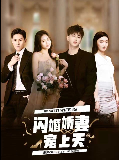 闪婚娇妻宠上天海报