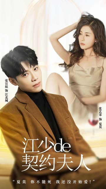 江少的契约夫人海报