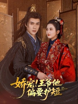 娇宠王爷他偏要护短海报