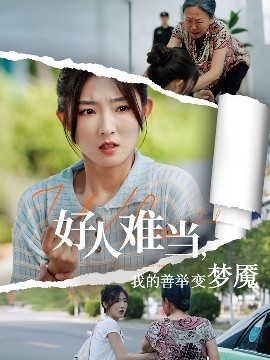 好人难当我的善举变梦魇海报