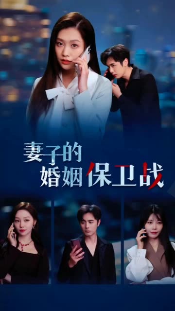 妻子的婚姻保卫战海报