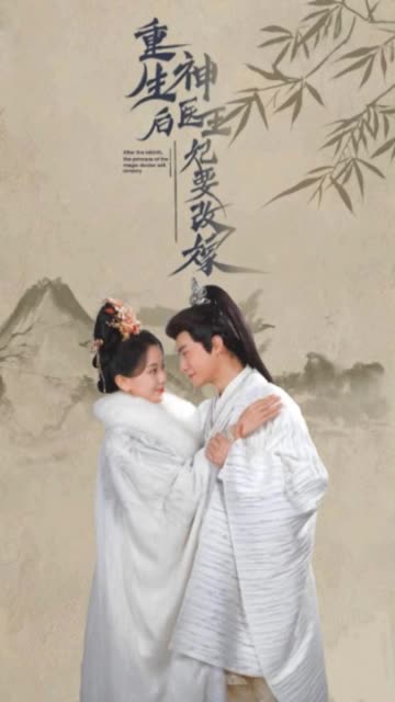 重生后神医王妃要改嫁海报