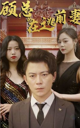 顾总的在逃前妻海报