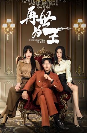 再世为王海报