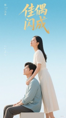 佳偶闪成假婚真爱海报