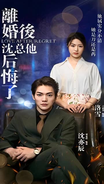 离婚后，沈总他后悔了海报