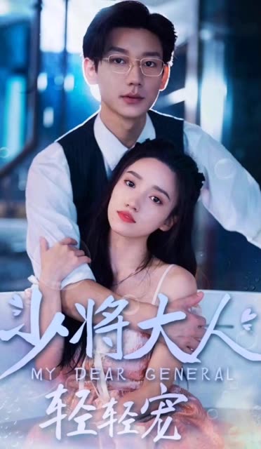 少将大人轻轻宠海报