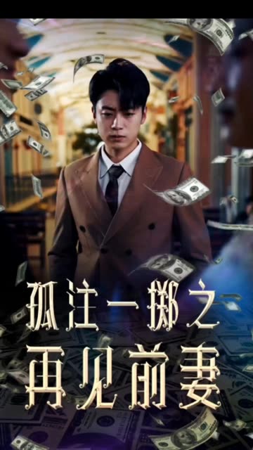 孤注一掷再见前妻海报