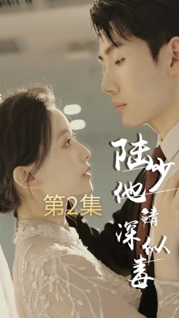 陆少他情深似毒海报