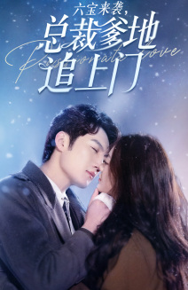 六宝来袭总裁爹地追上门海报