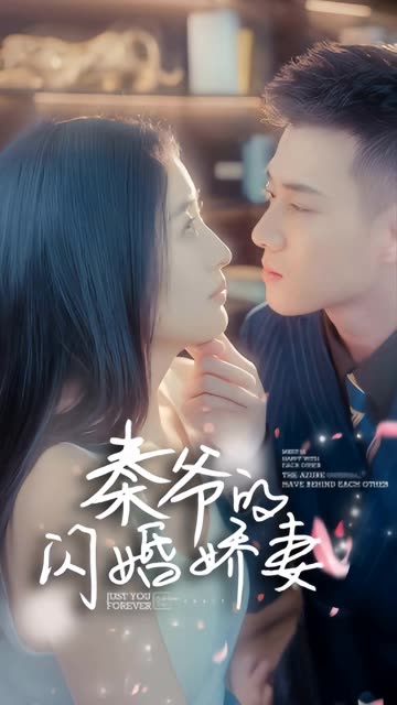 秦爷的闪婚娇妻海报