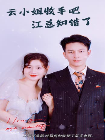 云小姐收手吧江总知错了海报