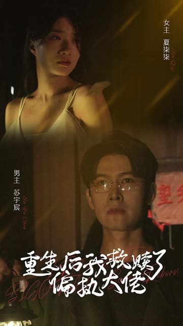 重生后我救赎了偏执大佬海报