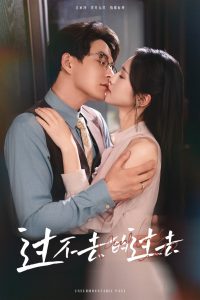 过不去的过去我用血肉去爱你海报