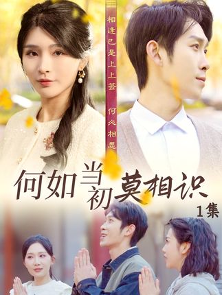 何如当初莫相识海报