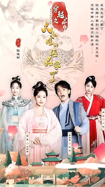 穿越之大小姐的极品家丁海报