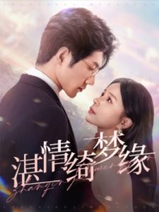 沉沦湛情琦梦缘海报