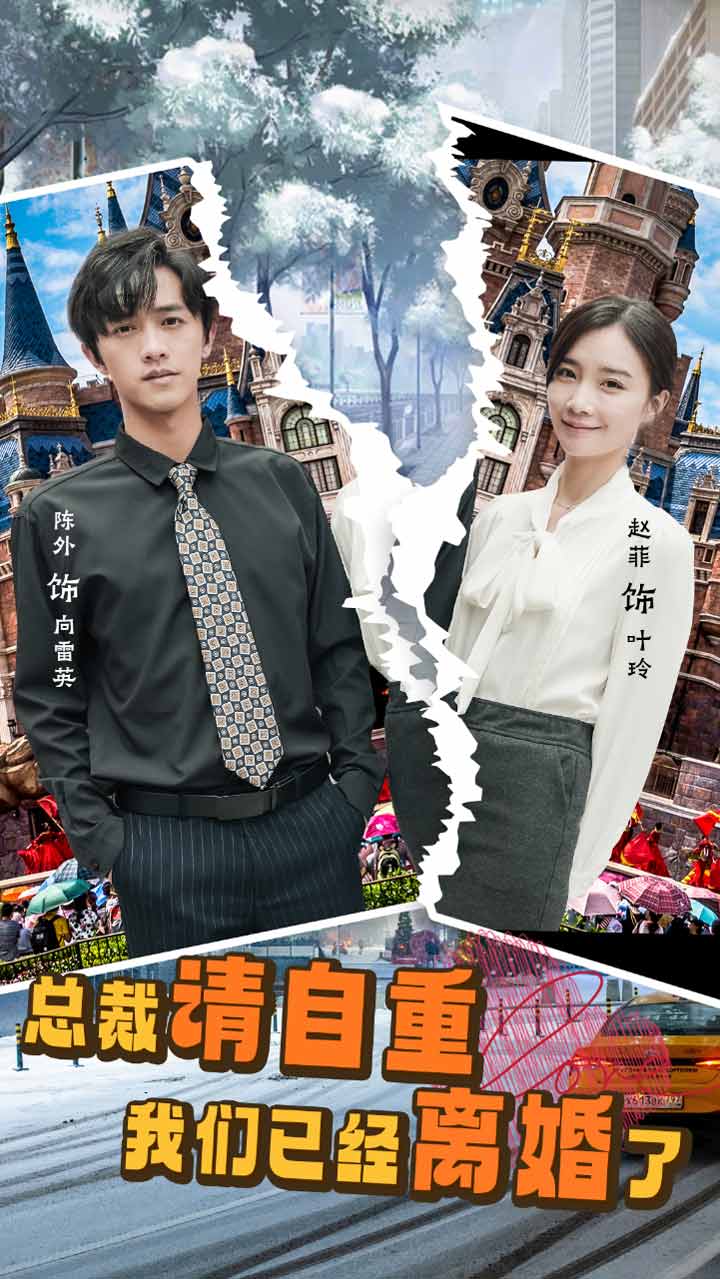 总裁请自重我们已经离婚了海报