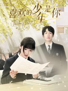 喜欢的少年是你海报