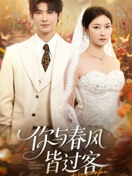 你与春风皆过客海报