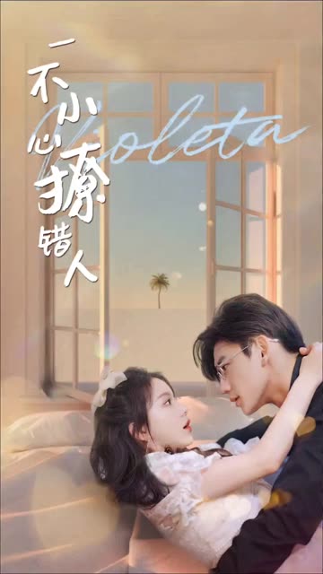 一不小心撩错人海报