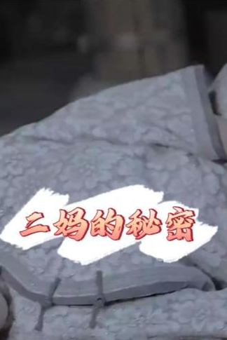 二妈的秘密海报
