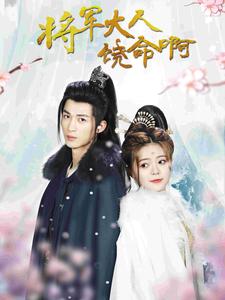 将军大人饶命啊 公主大人请自重海报