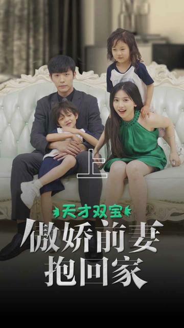 天才双宝傲娇前妻抱回家海报