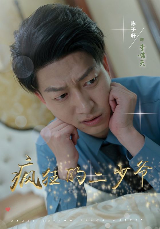 疯狂的二少爷海报