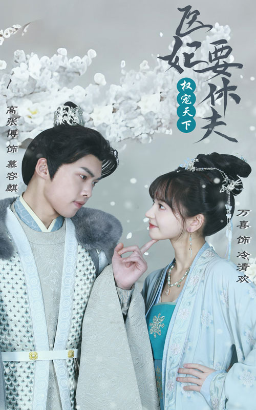 权宠天下：医妃要休夫海报